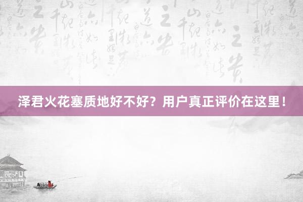 泽君火花塞质地好不好？用户真正评价在这里！